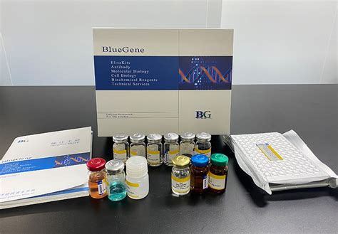 Adrenaline ELISA Kit (ab287788) 